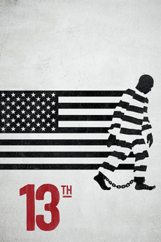 Poster for 13th (2016)