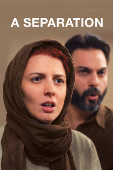 Poster for A Separation (2011)