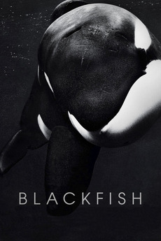 Poster for Blackfish (2013)