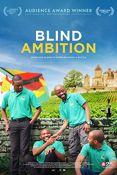 Poster for Blind Ambition (2021)