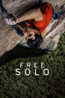 Poster for Free Solo (2018)