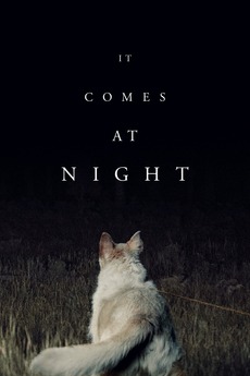 Poster for It Comes at Night (2017)
