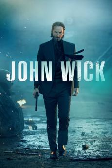 Poster for John Wick (2014)