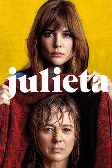 Poster for Julieta (2016)