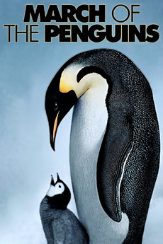 Poster for March of the Penguins (2005)