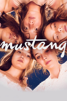 Poster for Mustang (2015)