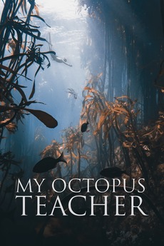 Poster for My Octopus Teacher (2020)