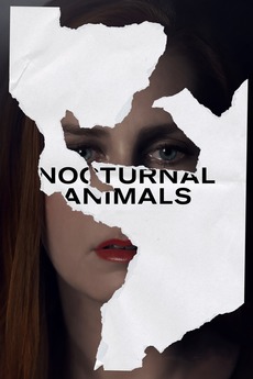 Poster for Nocturnal Animals (2016)
