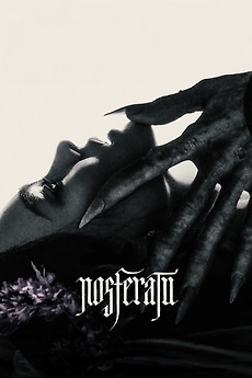 Poster for Nosferatu (2024)