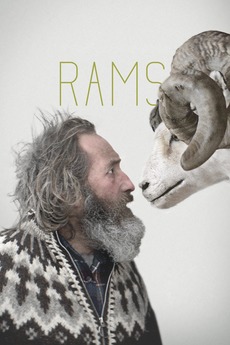 Poster for Rams (2015)