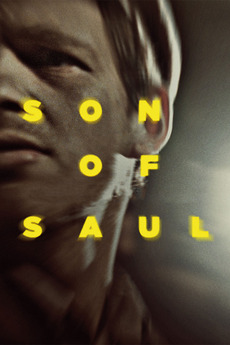 Poster for Son of Saul (2015)