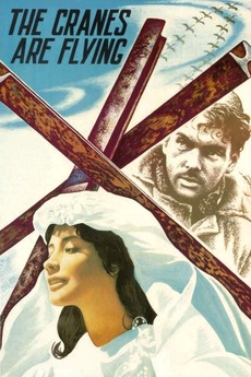 Poster for The Cranes Are Flying (1957)