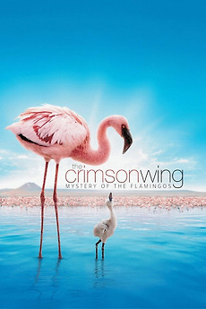 Poster for The Crimson Wing: Mystery of the Flamingos (2008)