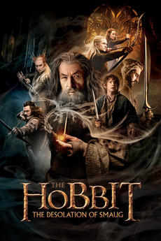 Poster for The Hobbit: The Desolation of Smaug (2013)