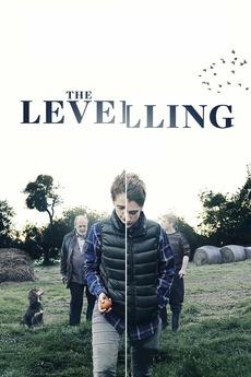 Poster for The Levelling (2016)