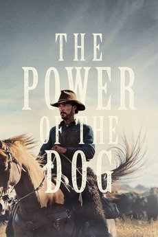 Poster for The Power of the Dog (2021)