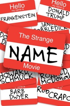 Poster for The Strange Name Movie (2017)