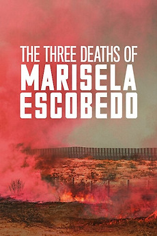 Poster for The Three Deaths of Marisela Escobedo (2020)