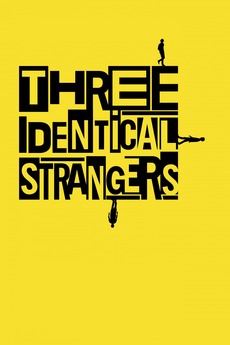 Poster for Three Identical Strangers (2018)