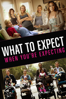 Poster for What to Expect When You're Expecting (2012)